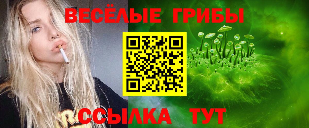 Гулькевичи  Галлюциногенные грибы Psilocybine cubensis  Вход с VPN 