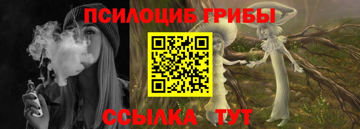 Псилоцибиновые грибы прущие грибы Гулькевичи